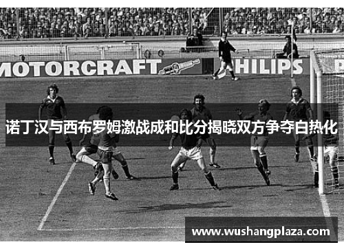 诺丁汉与西布罗姆激战成和比分揭晓双方争夺白热化