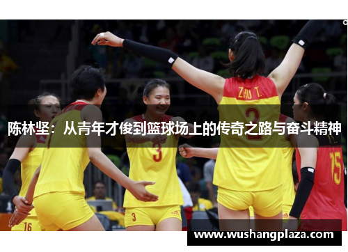 陈林坚：从青年才俊到篮球场上的传奇之路与奋斗精神